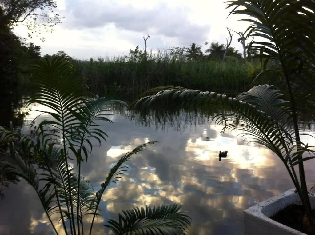 Albatros Cabarete Aparthotel