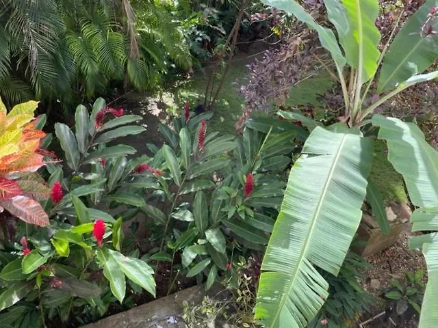 Albatros Cabarete Aparthotel